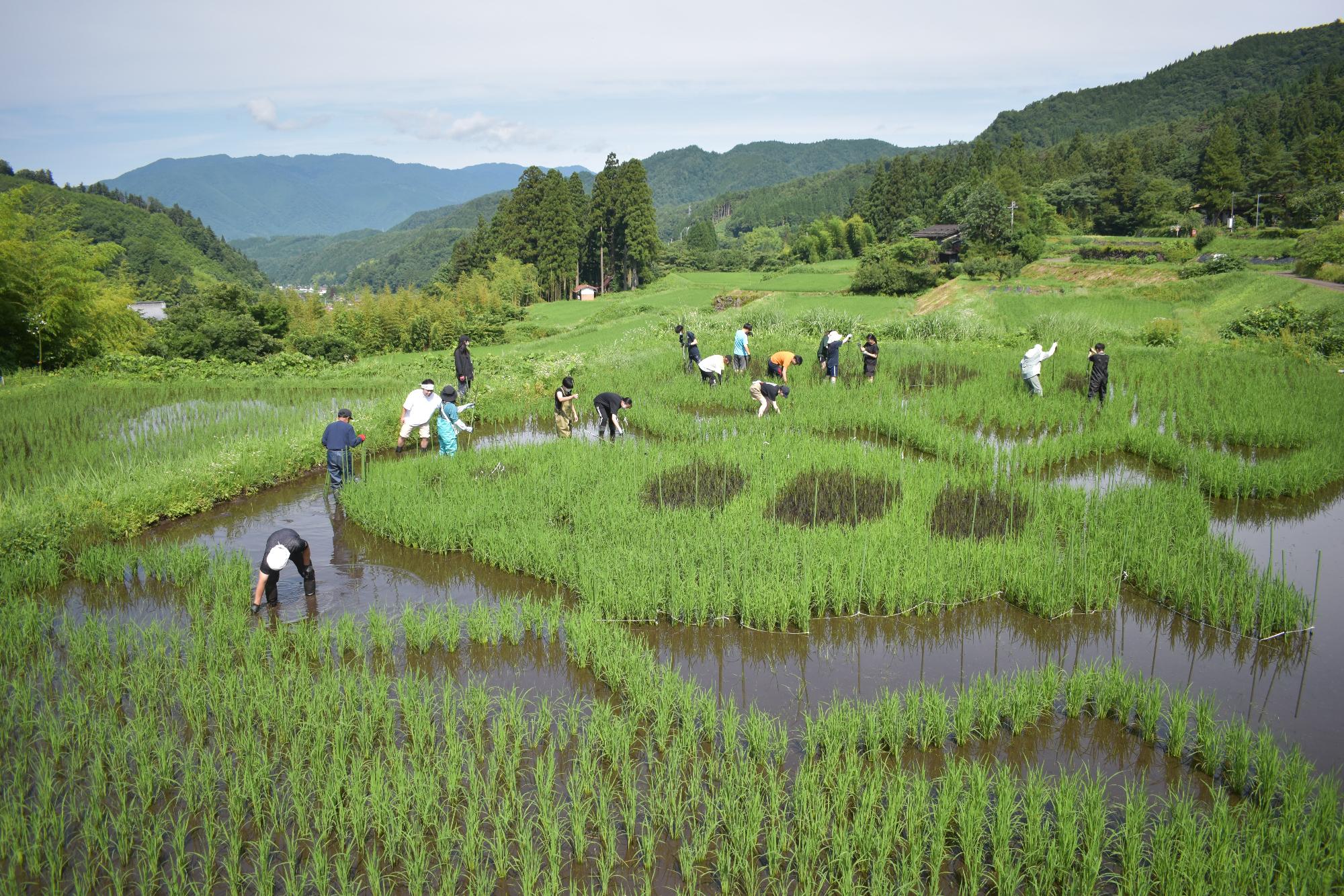 六ノ里除草・草刈り