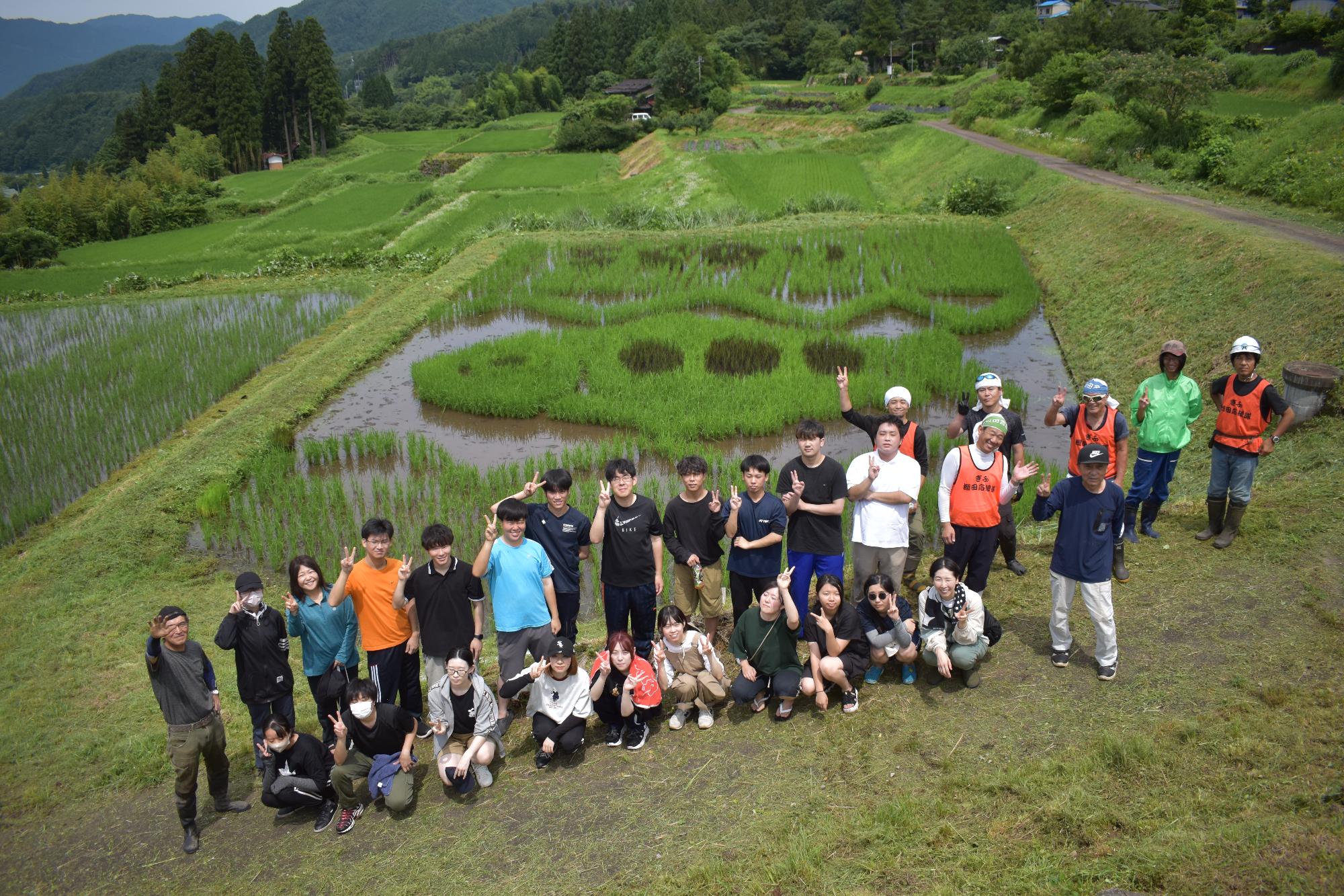 六ノ里除草・草刈り