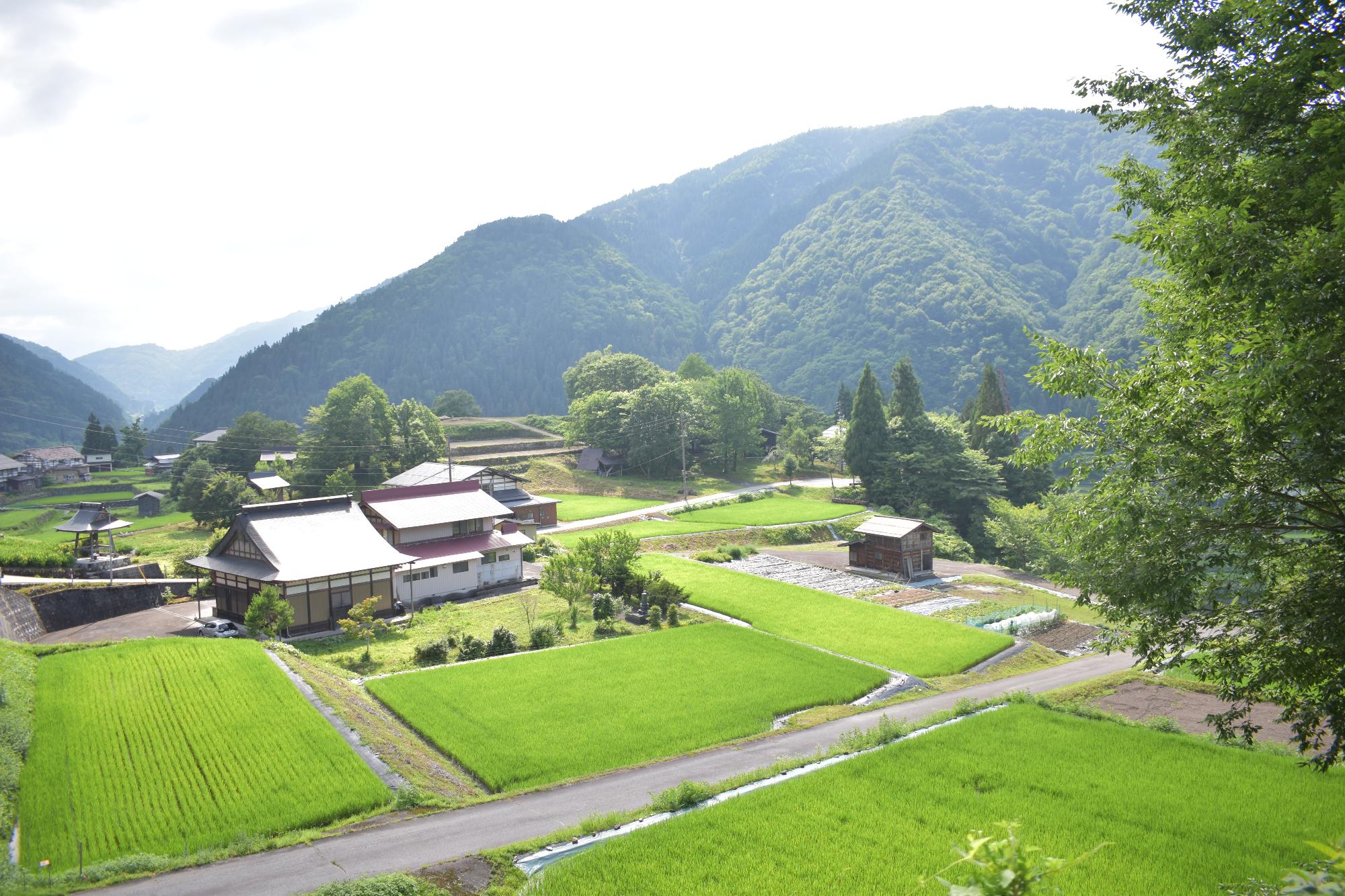 種蔵石積み
