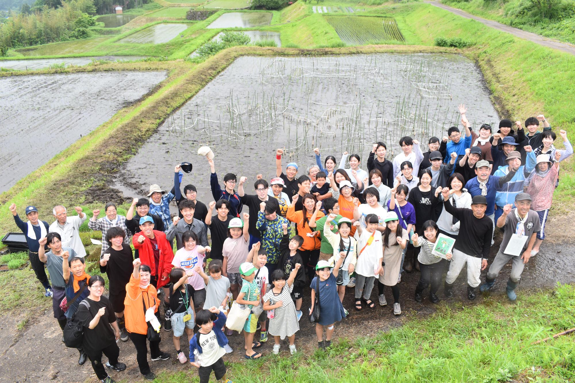田植え