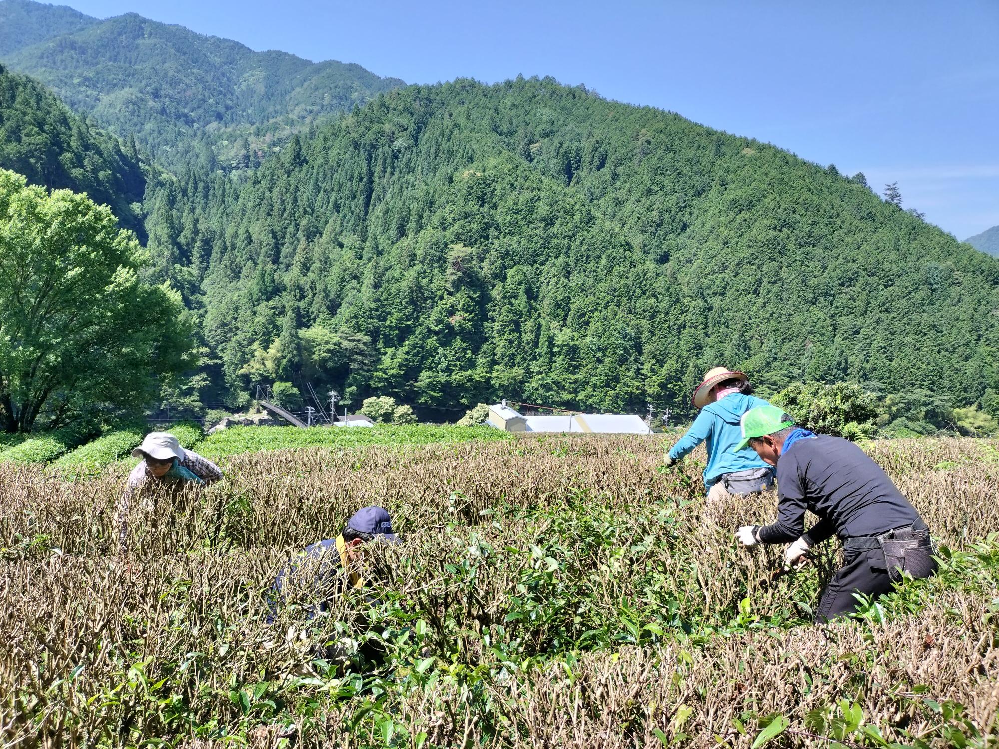 東白川