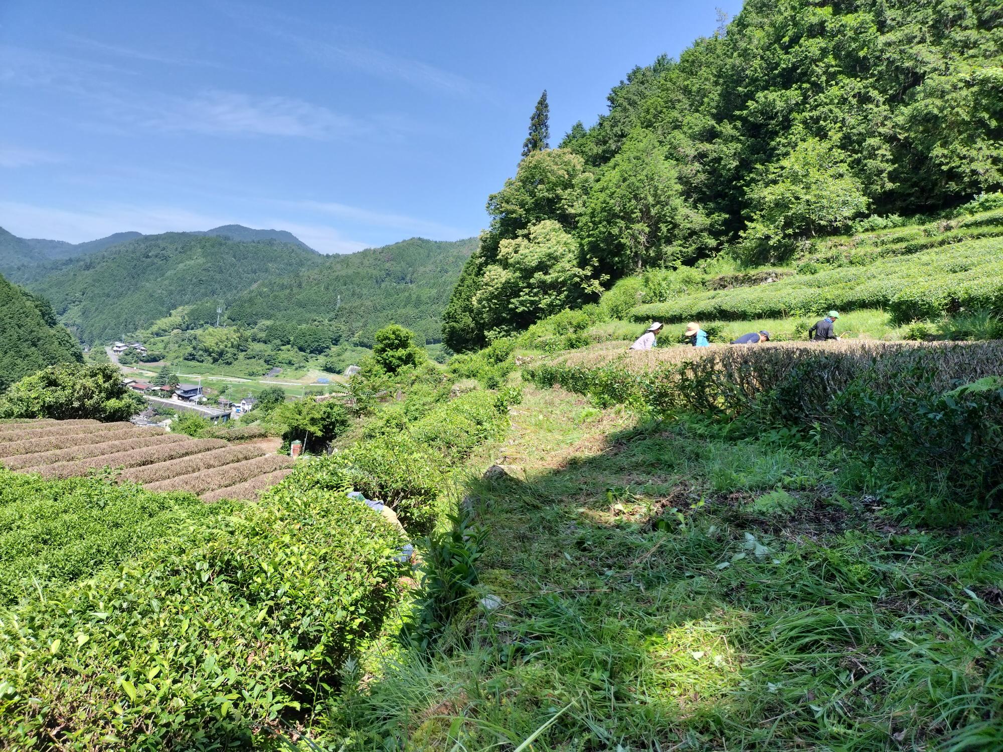 東白川