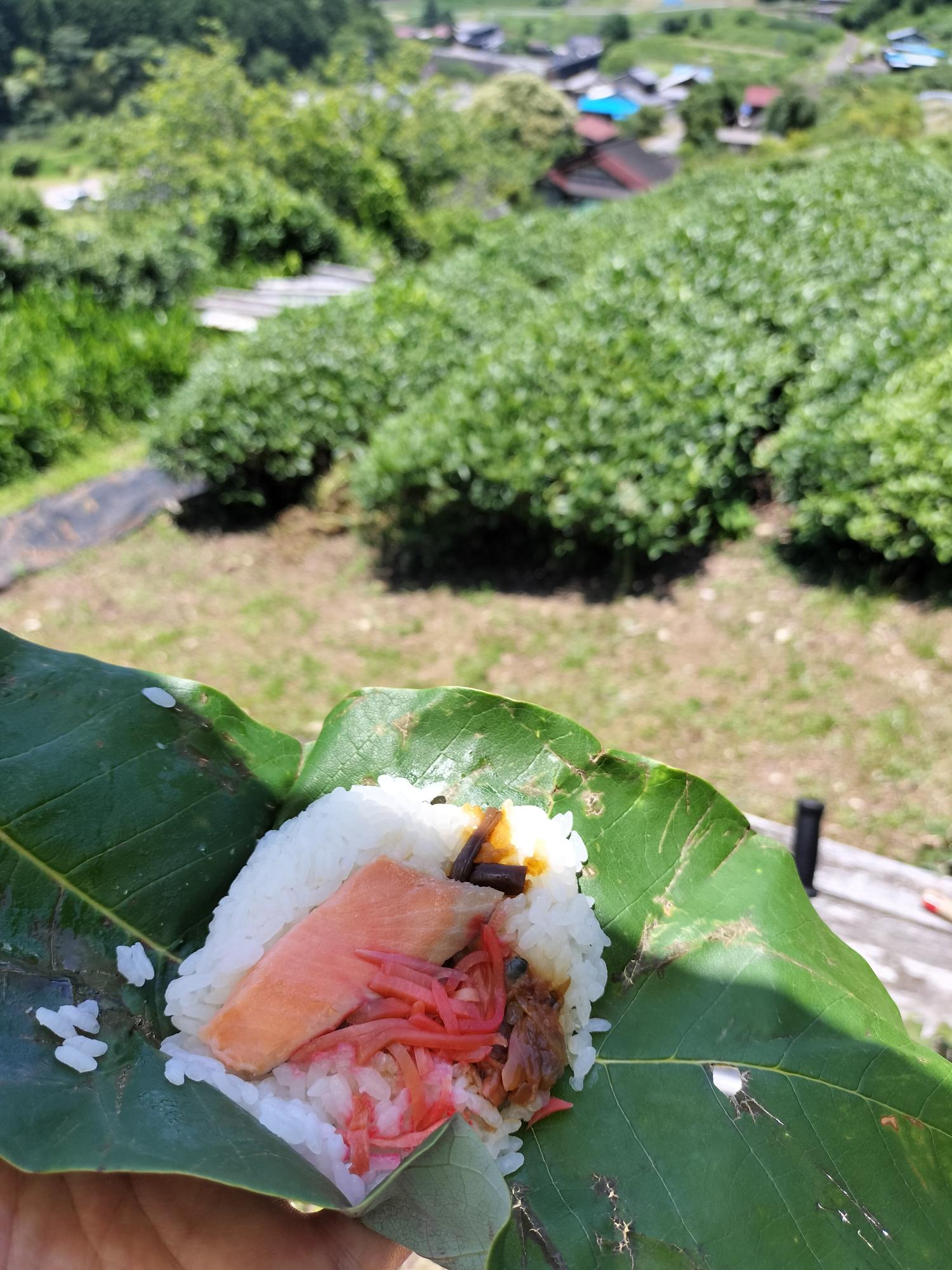 東白川