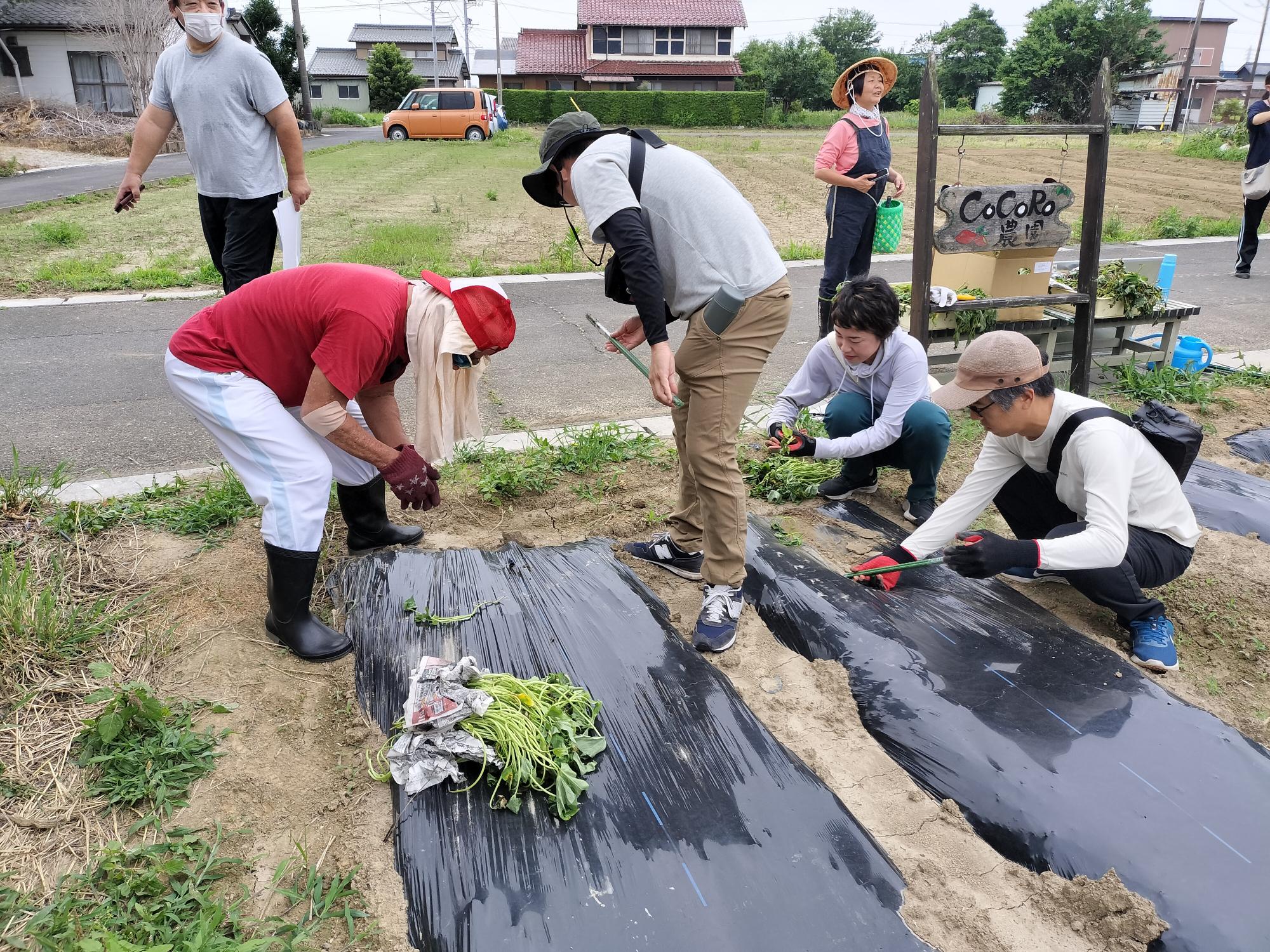 かがやけ安八