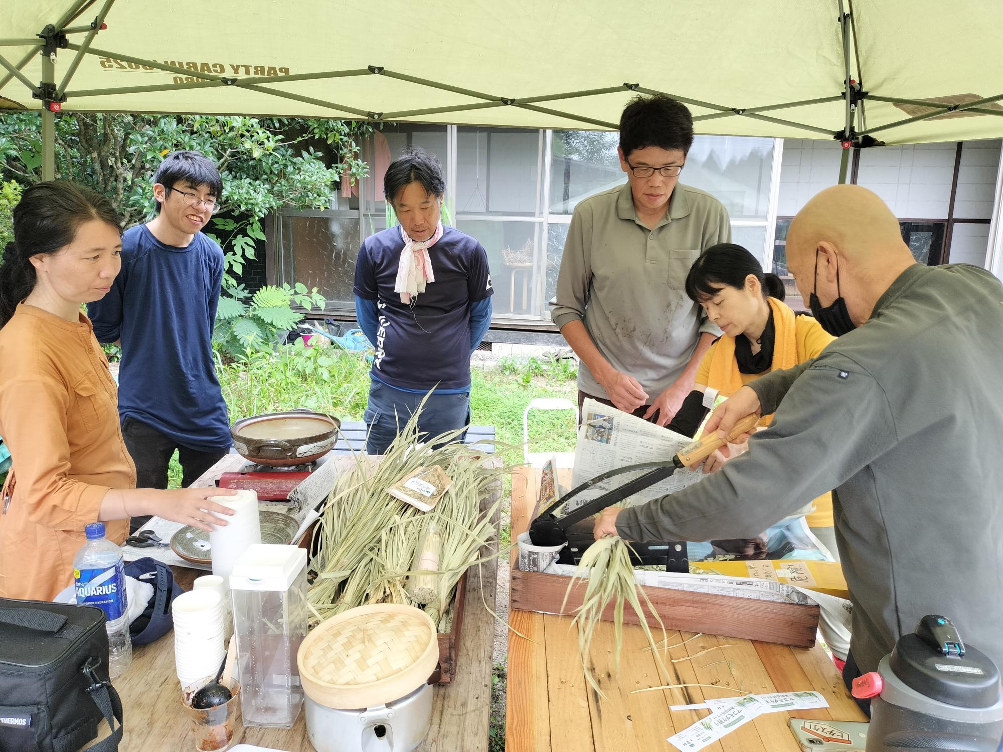 マコモ