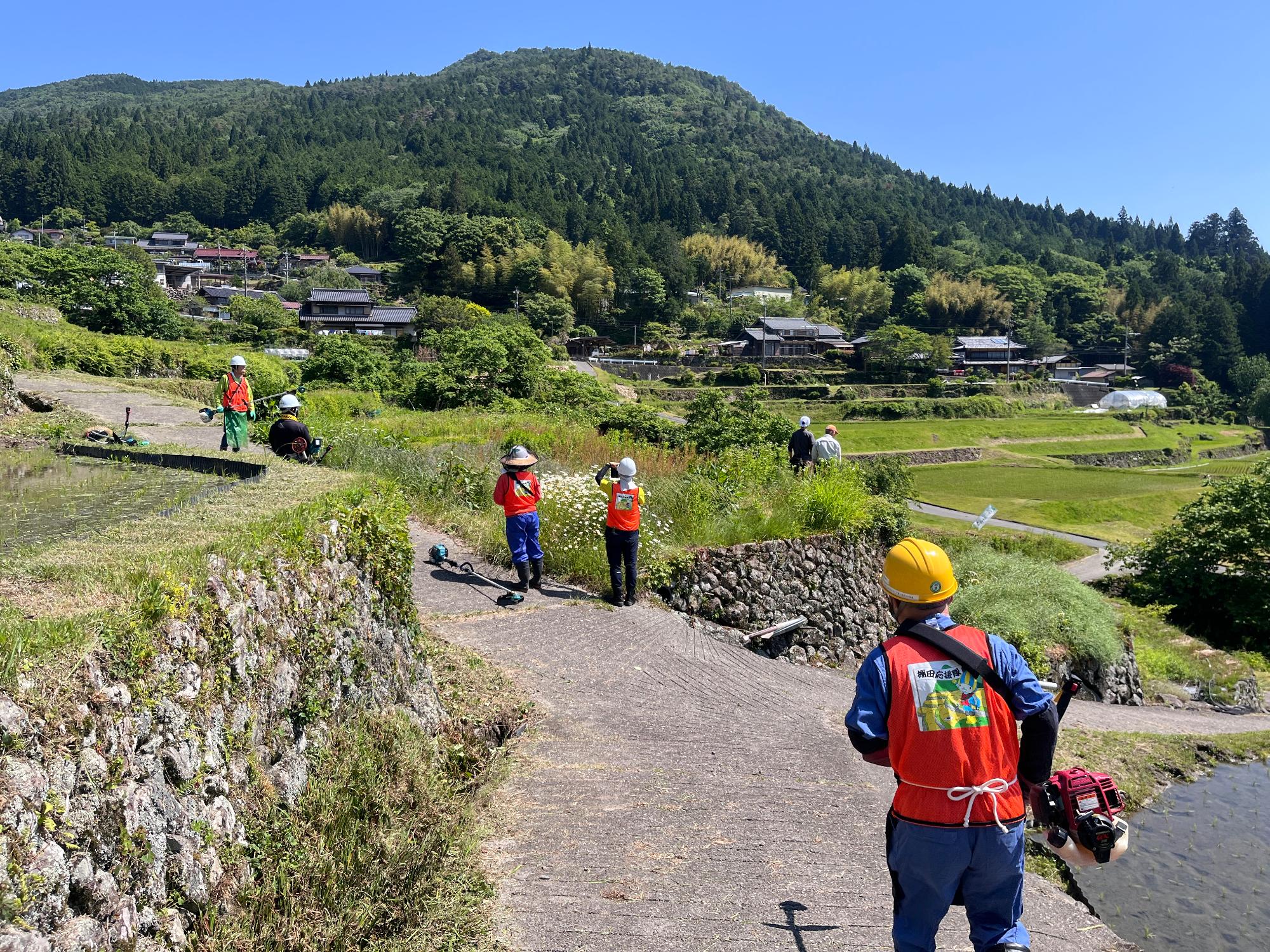 坂折棚田