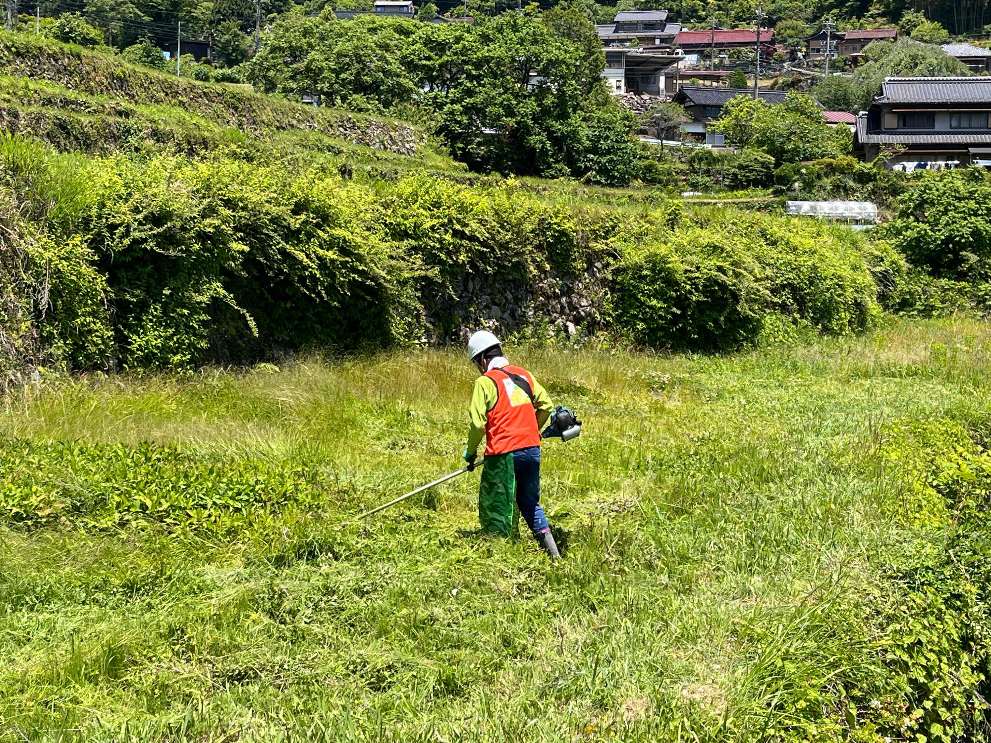 坂折棚田