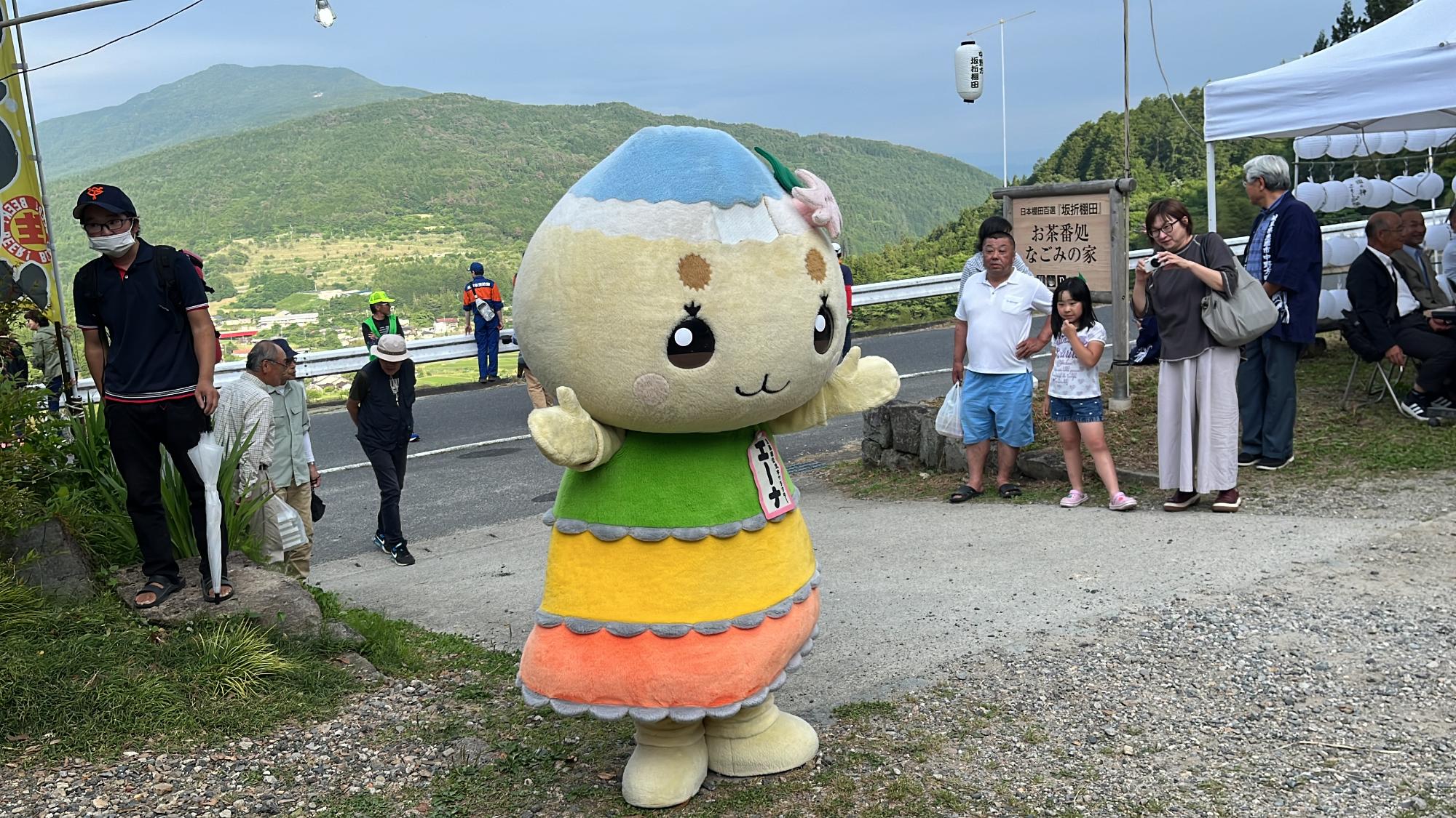 坂折ライトアップ