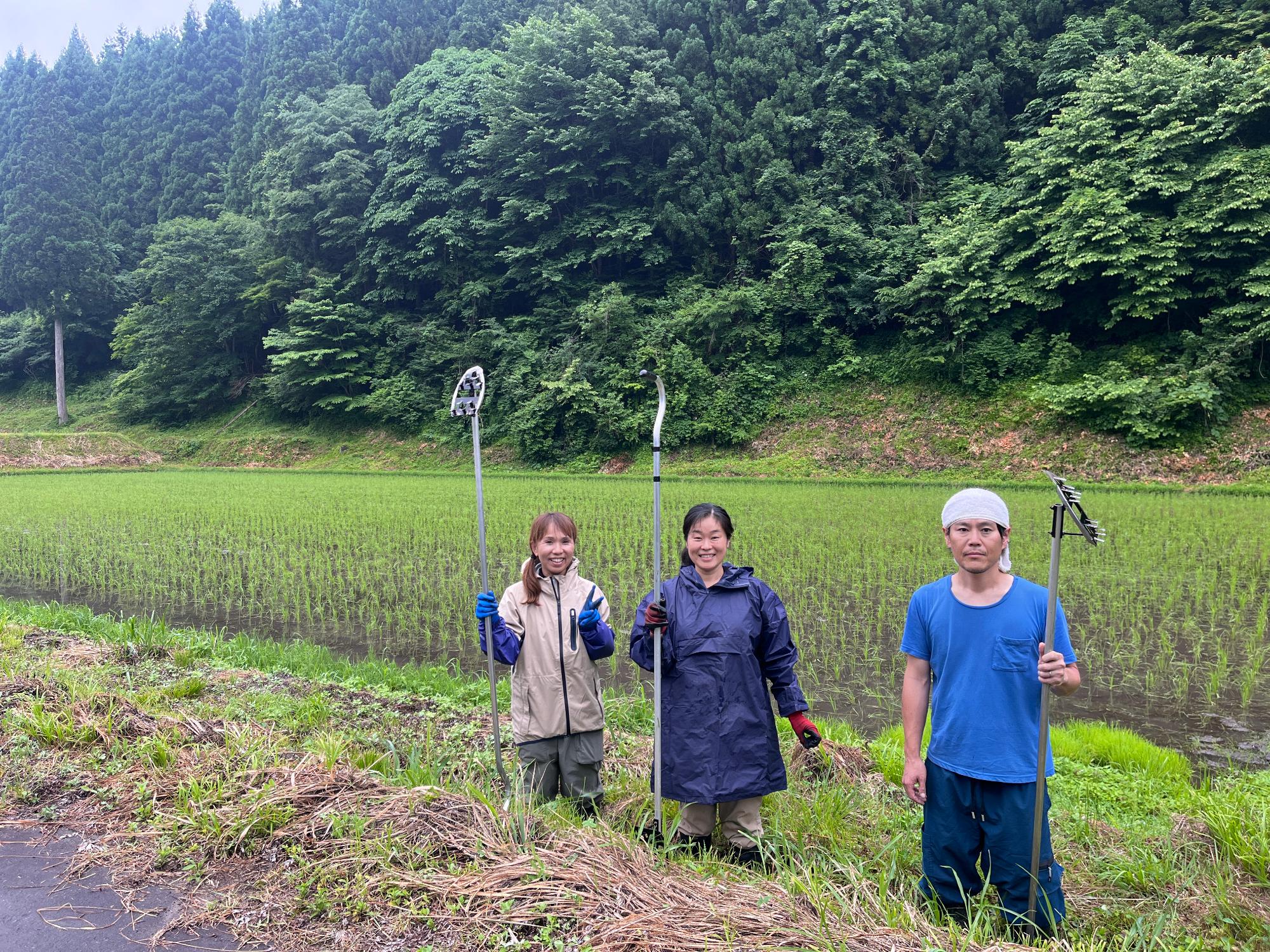 西洞棚田