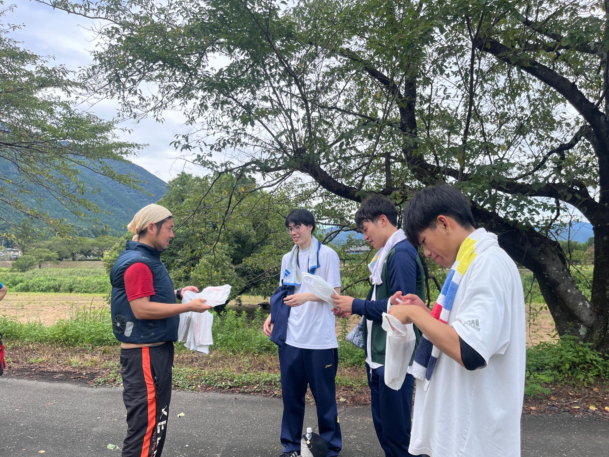 青柿収穫