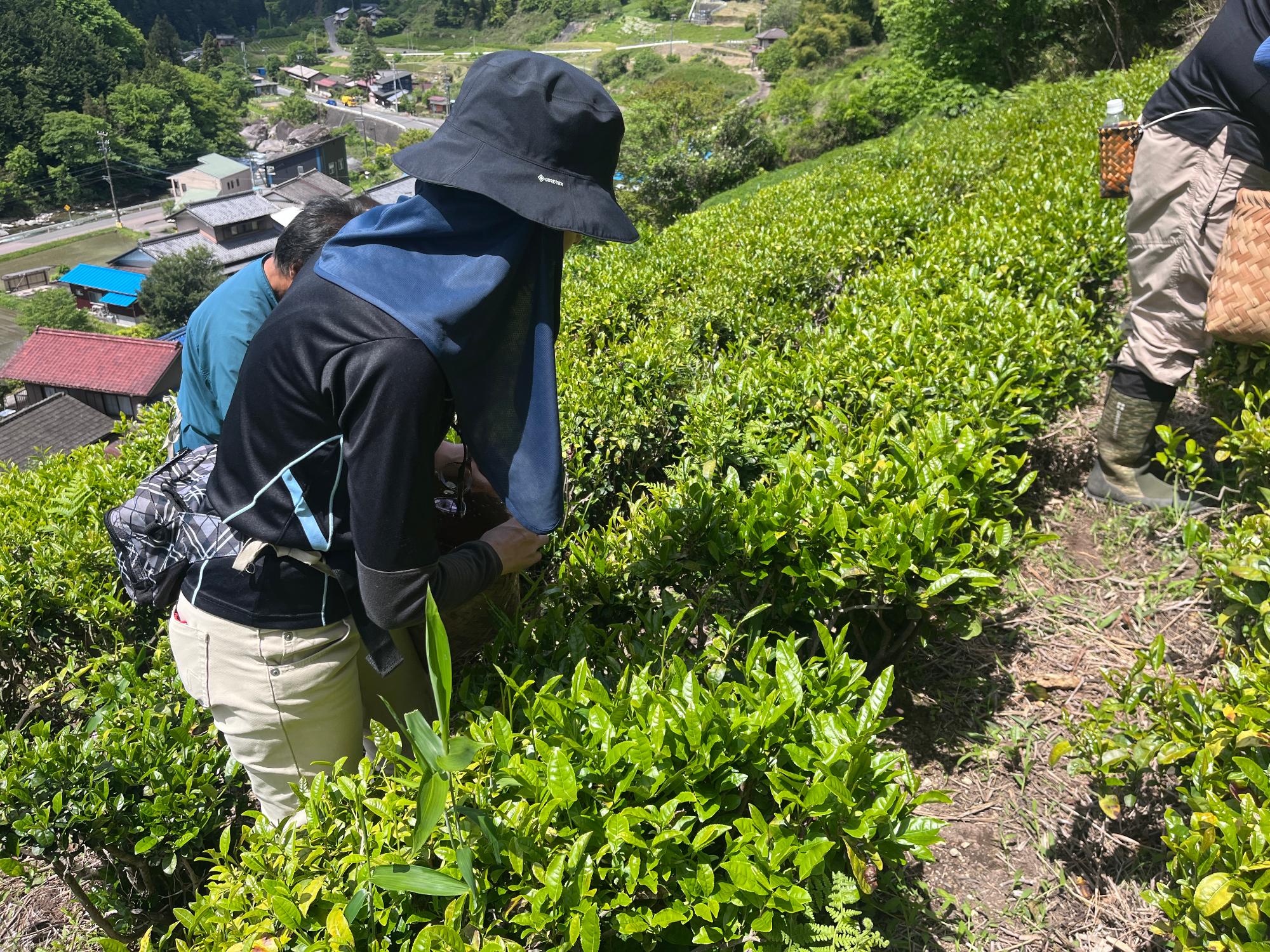 お茶