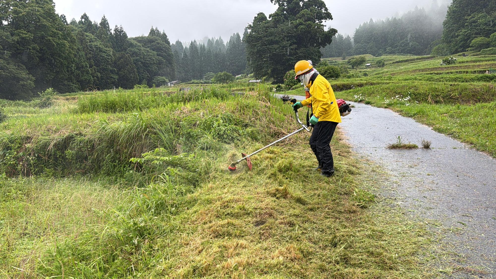 貝原棚田