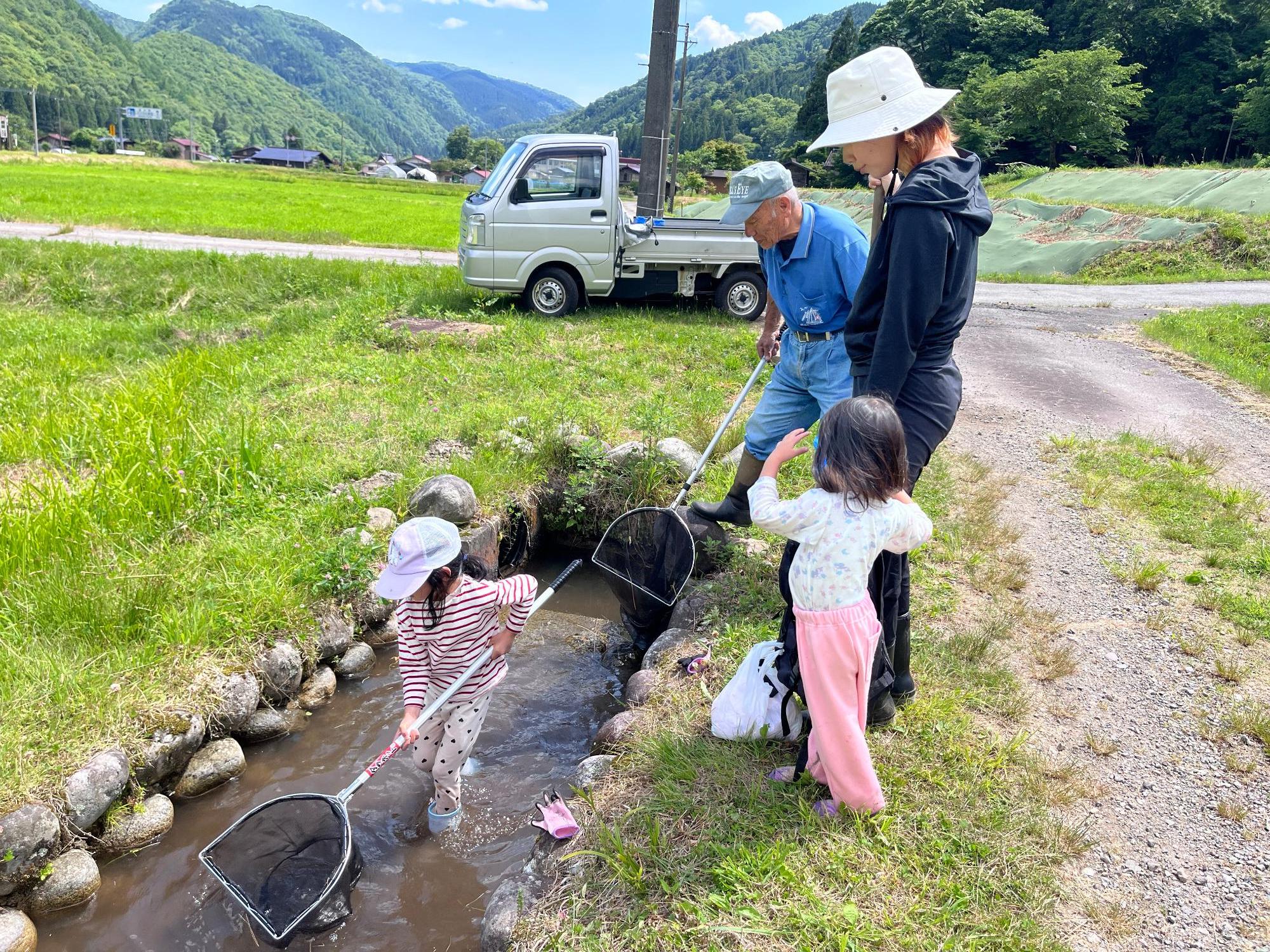どんぼ