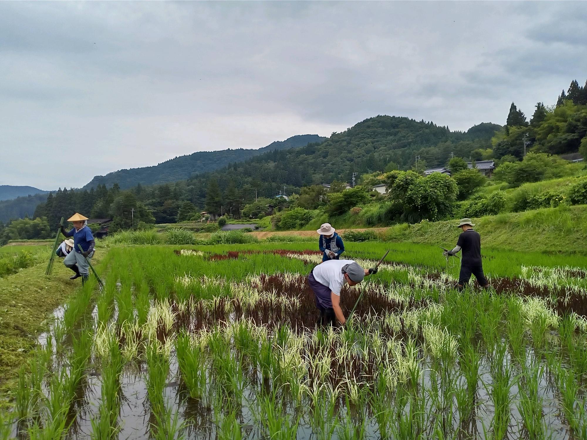 六ノ里