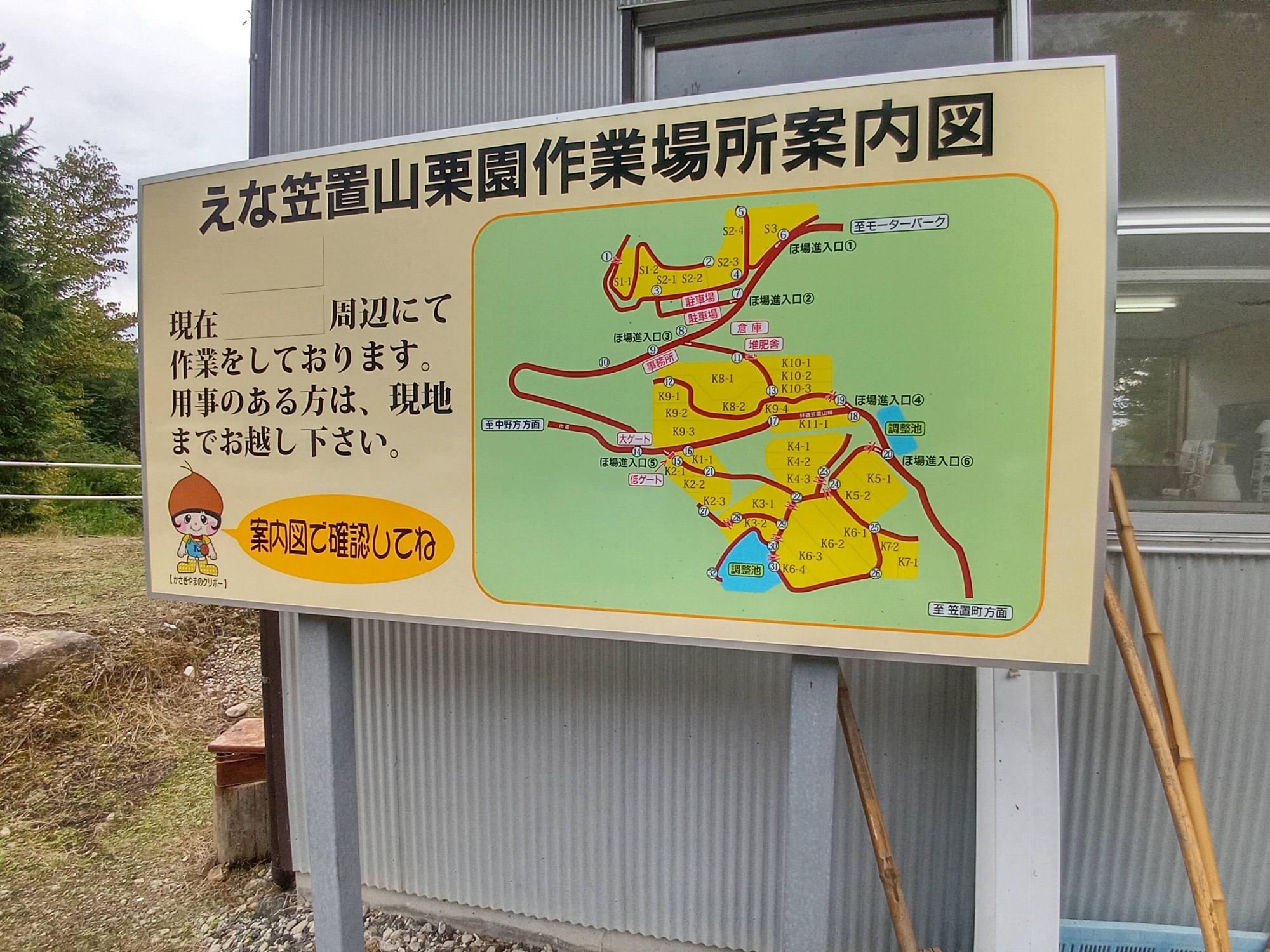 栗