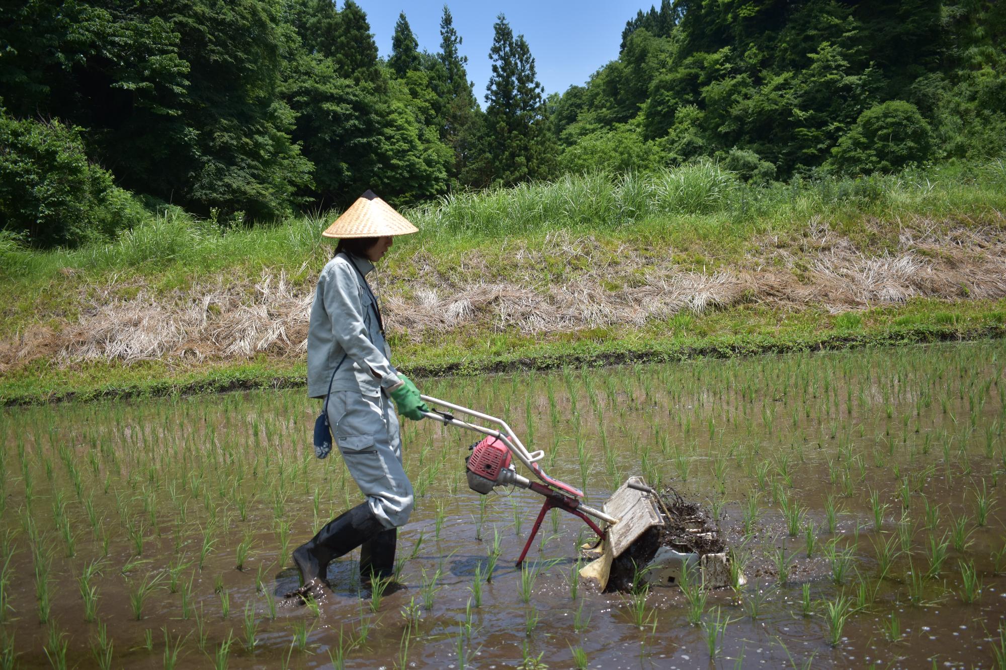 応援隊